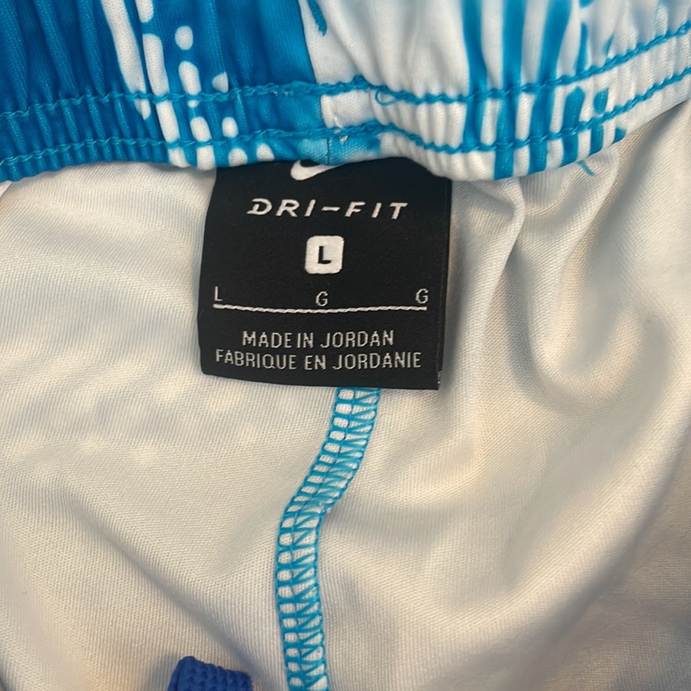 Boys Nike Shorts Size Large - Picture 3 of 7